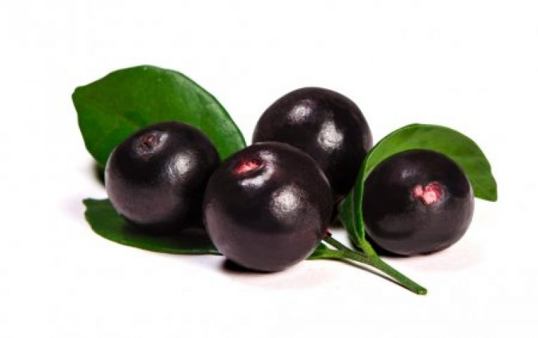 Acai Berry Fruit